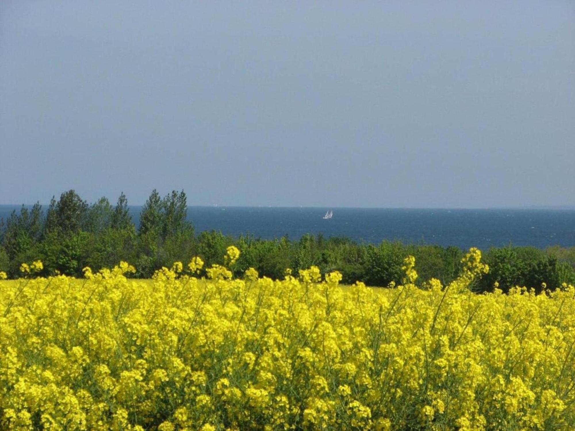 Quaint Bungalow Near Insel Poel With Garden ภายนอก รูปภาพ